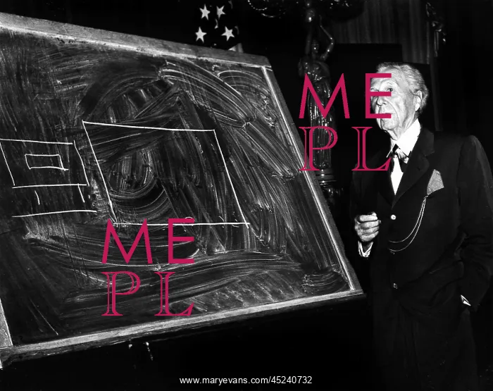 : Frank Lloyd Wright : Frank Lloyd Wright