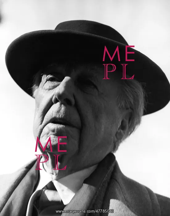 : Frank Lloyd Wright : Frank Lloyd Wright