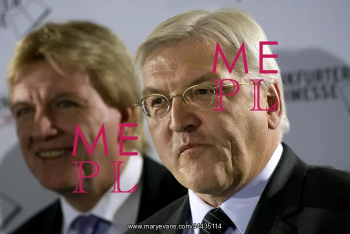 : Frank-Walter Steinmeier : Frank-Walter Steinmeier