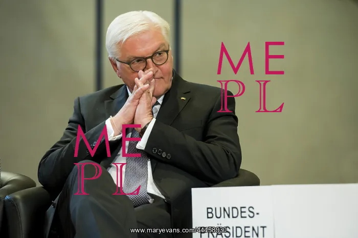 : Frank-Walter Steinmeier : Frank-Walter Steinmeier