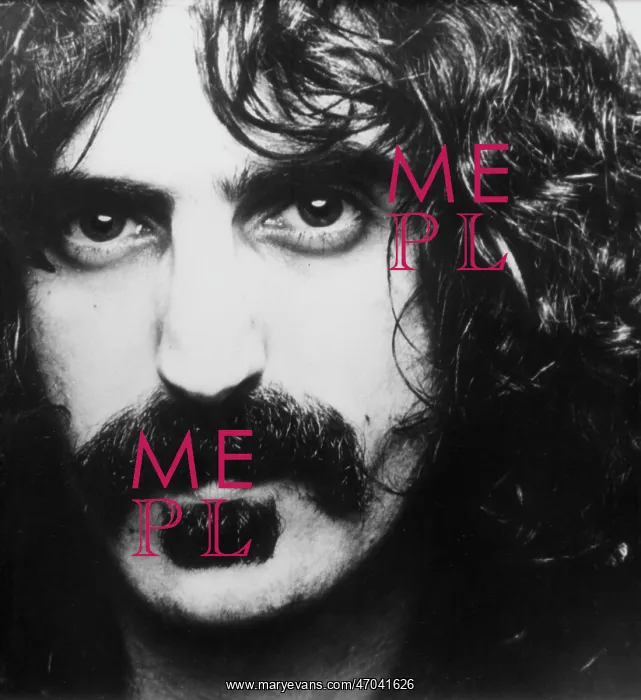 : Frank Zappa, American musician : Frank Zappa, American musician
