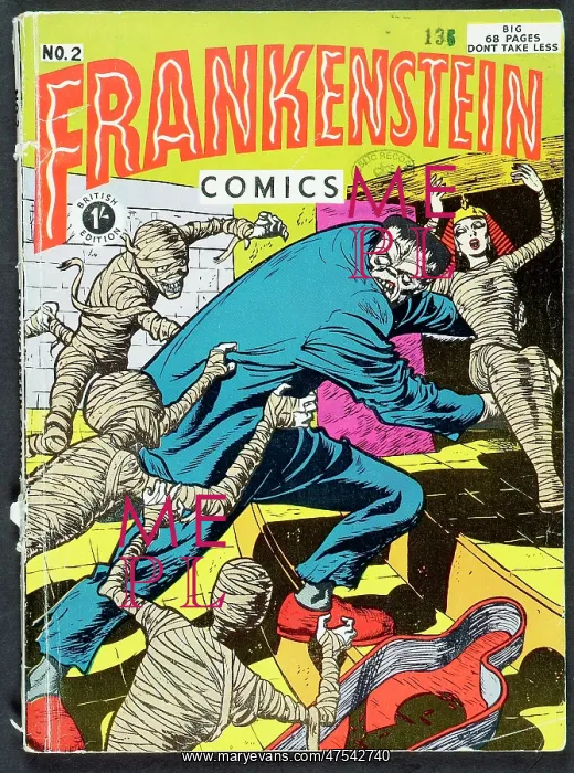 : Frankenstein Comic : Frankenstein Comic