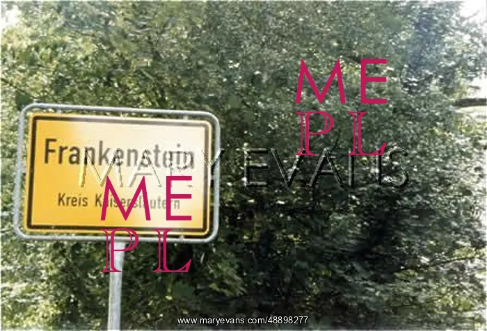 : FRANKENSTEIN / SIGN 1990 : FRANKENSTEIN / SIGN 1990