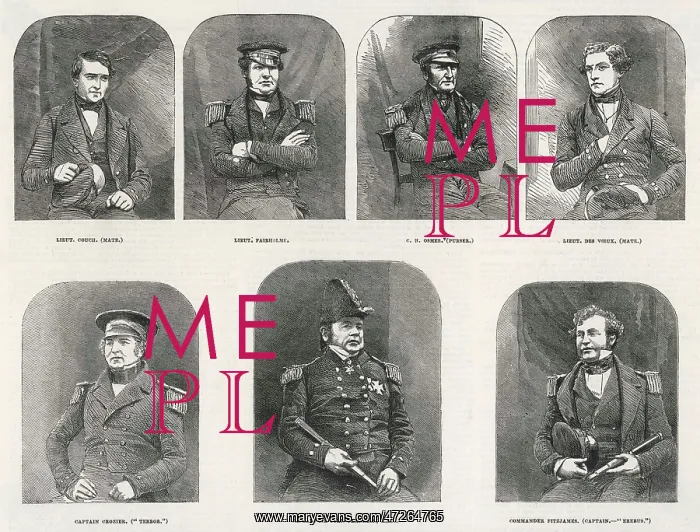 : FRANKLIN & HIS CREW : FRANKLIN & HIS CREW