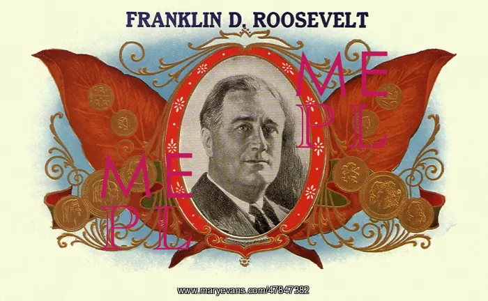 : Franklin D. Roosevelt : Franklin D. Roosevelt