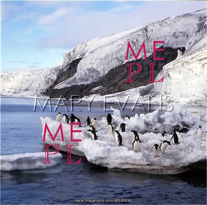 : FRANKLIN ISLAND / PENGUINS : FRANKLIN ISLAND / PENGUINS