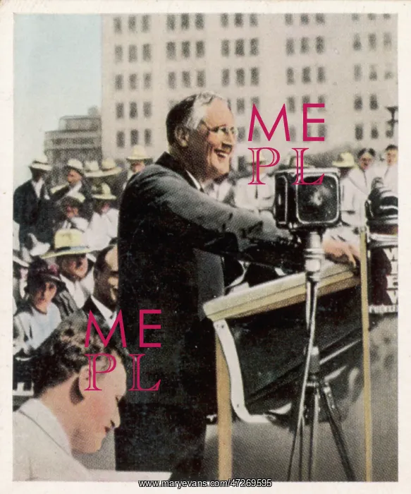 : FRANKLIN ROOSEVELT : FRANKLIN ROOSEVELT