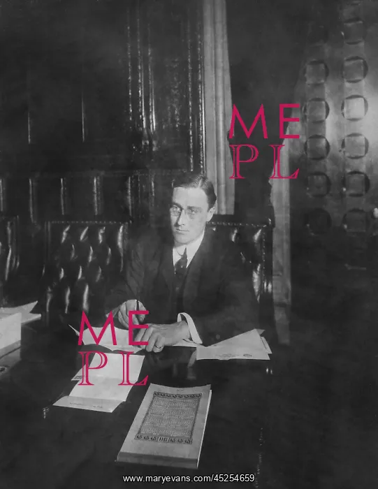 : Franklin Roosevelt in his first term as a New : Franklin Roosevelt in his first term as a New