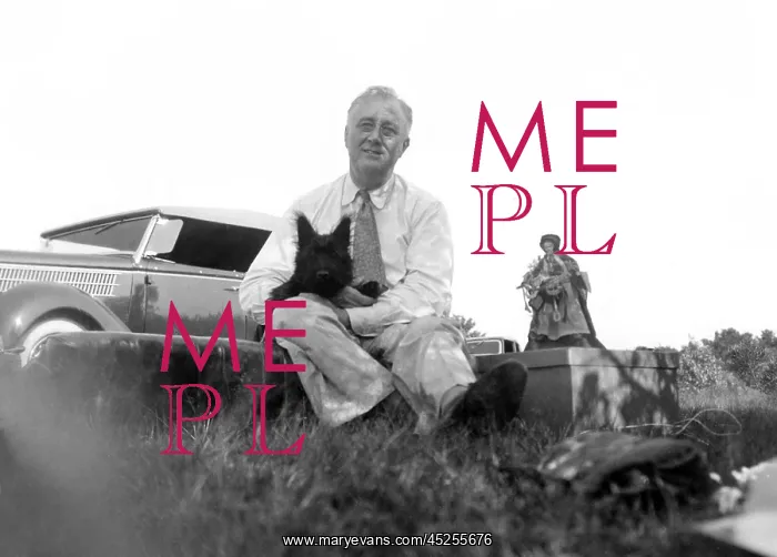 : Franklin Roosevelt at a picnic on Sunset Hill : Franklin Roosevelt at a picnic on Sunset Hill