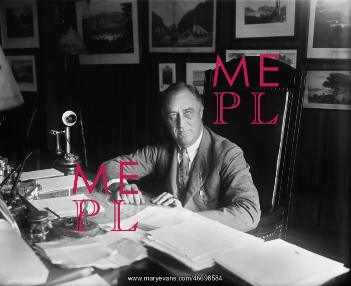 : Franklin Roosevelt - Politics : Franklin Roosevelt - Politics