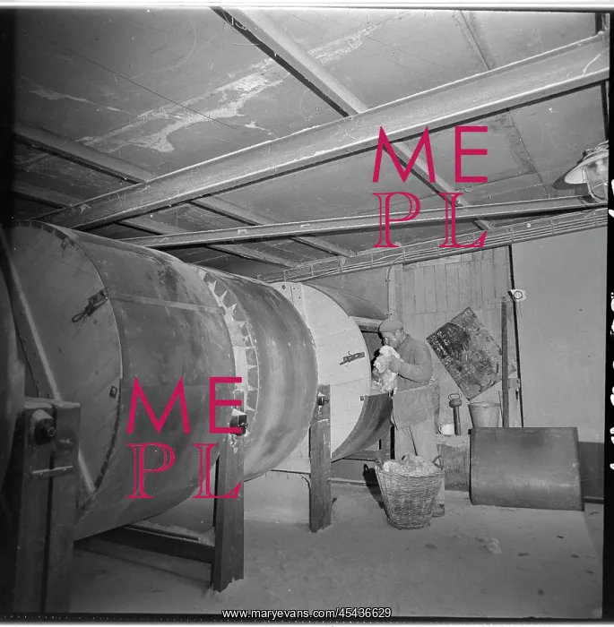 : Frantisek Polak, worker, tanner, tanning drum : Frantisek Polak, worker, tanner, tanning drum