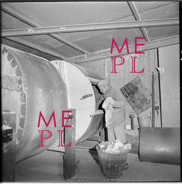 : Frantisek Polak, worker, tanner, tanning drum : Frantisek Polak, worker, tanner, tanning drum