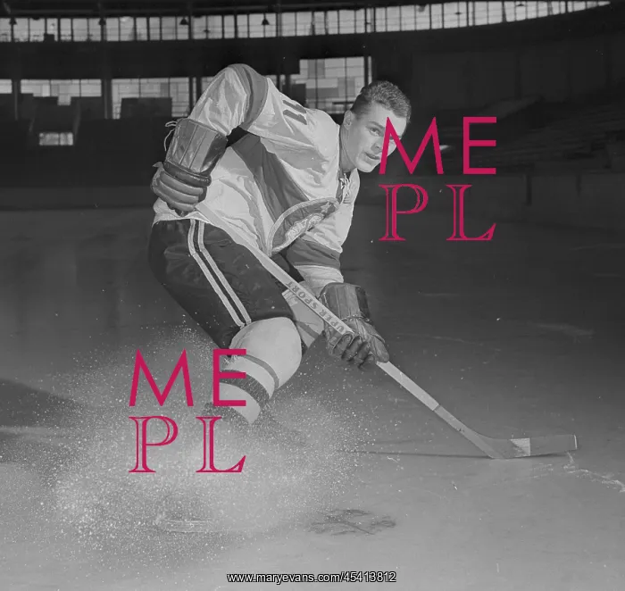  : Frantisek Pospisil
