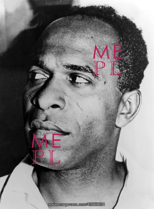: Frantz Fanon, psychoanalyst and social philosopher : Frantz Fanon, psychoanalyst and social philosopher