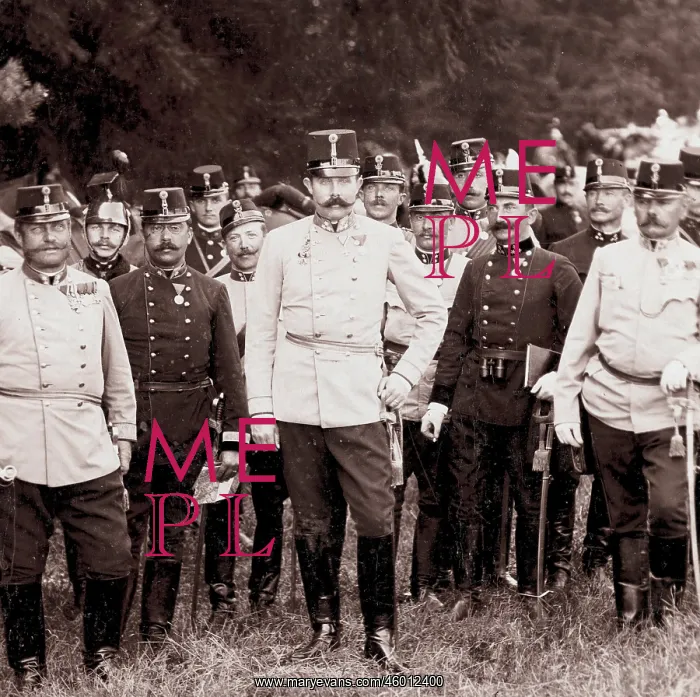 : Franz Ferdinand d?Este : Franz Ferdinand d?Este