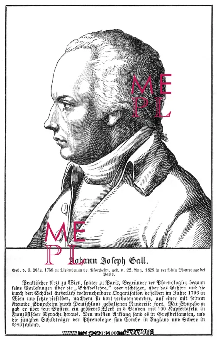 : FRANZ JOSEF GALL : FRANZ JOSEF GALL