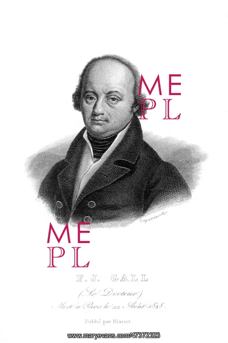 : FRANZ JOSEF GALL : FRANZ JOSEF GALL