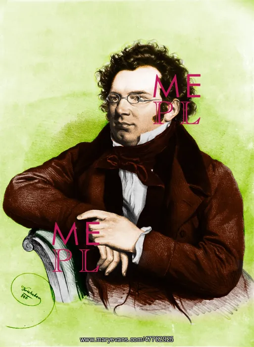: Franz Peter Schubert, Austrian Composer : Franz Peter Schubert, Austrian Composer