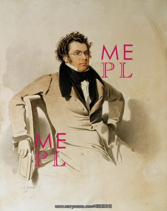 : Franz Schubert : Franz Schubert