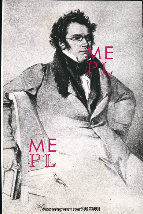 : Franz Schubert, Austrian composer : Franz Schubert, Austrian composer