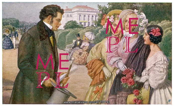 : Franz Schubert, Austrian composer and musician : Franz Schubert, Austrian composer and musician