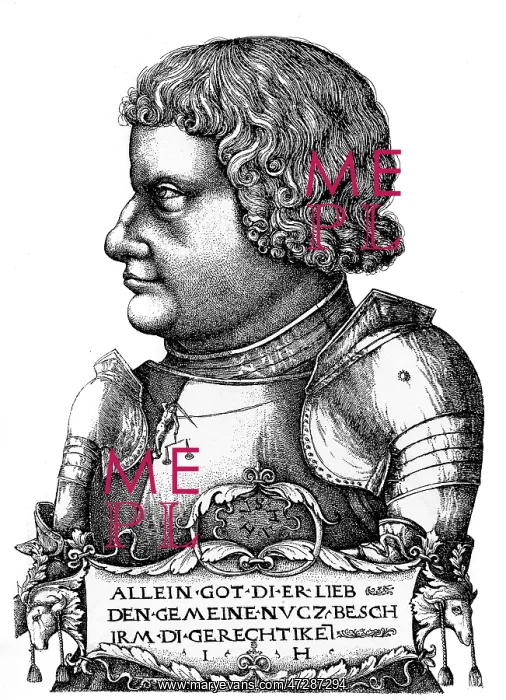 : Franz von Sickingen : Franz von Sickingen