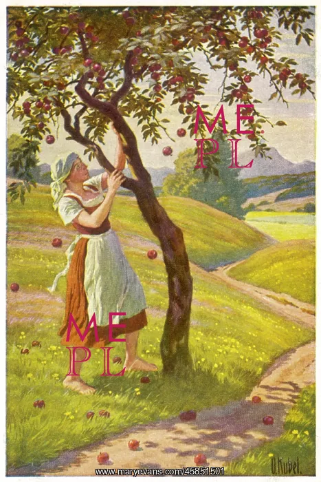  : FRAU HOLLE - 2