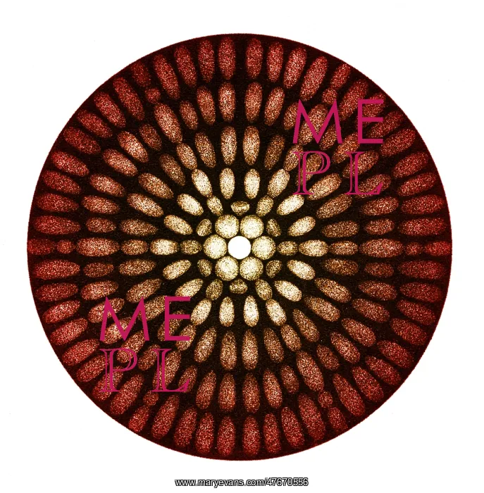 : Fraunhofer Diffraction Patterns : Fraunhofer Diffraction Patterns