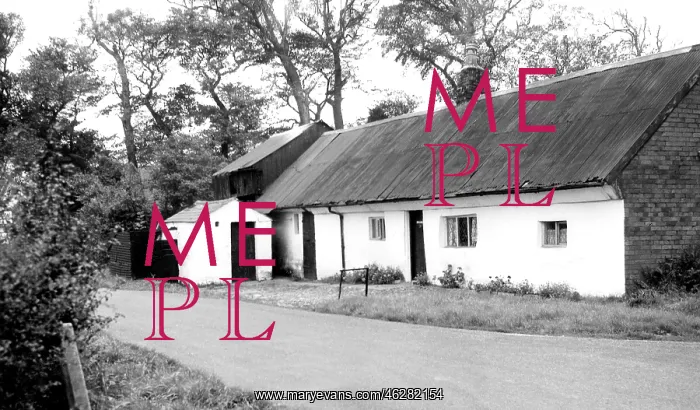  : Freckleton, Hallams c1965