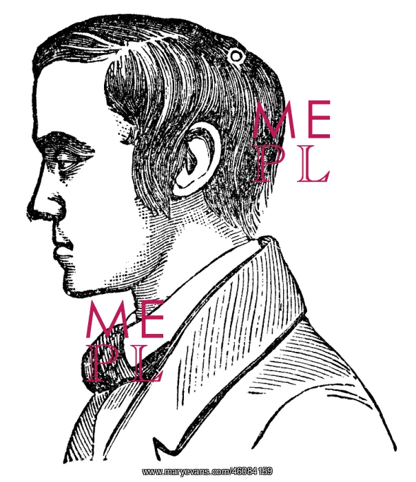 : Fred Easily-dishartened, phrenological portrait, 1902 : Fred Easily-dishartened, phrenological portrait, 1902