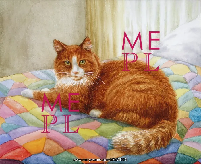  : Fred Resting on a Patchwork Quilt