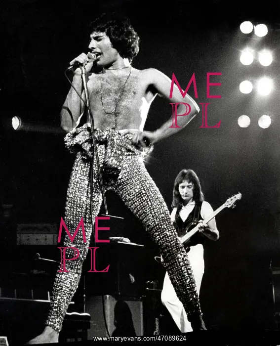 : Freddie Mercury, singer-songwriter : Freddie Mercury, singer-songwriter