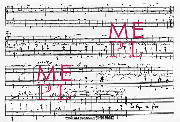 : Frederic Chopin : Frederic Chopin