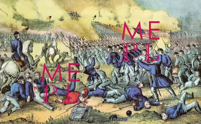 : Fredericksburg Battle : Fredericksburg Battle