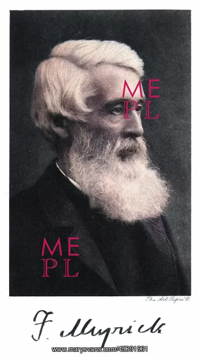 : FREDERIK MEYRICK : FREDERIK MEYRICK