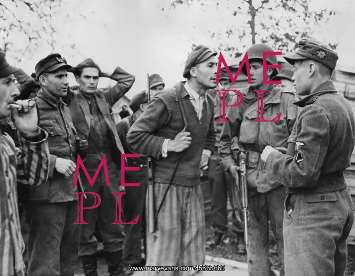 : Freed Polish prisoner (center) of Dachau confronts : Freed Polish prisoner (center) of Dachau confronts