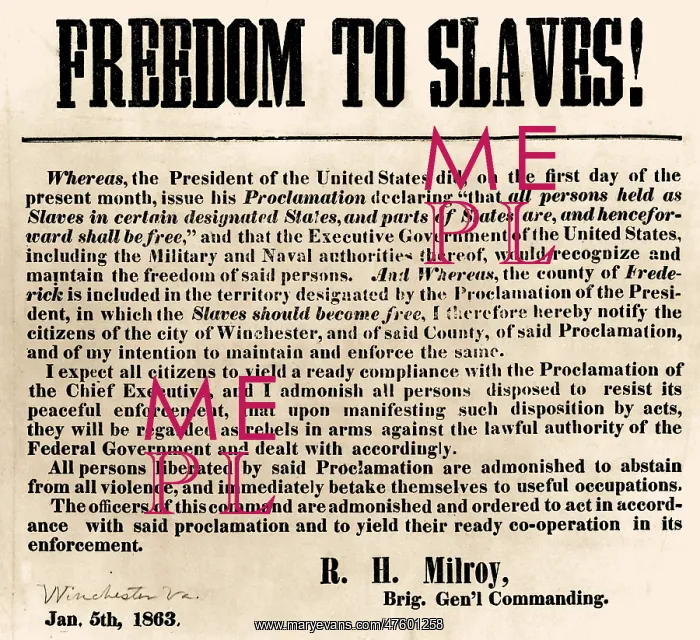 : Freedom to Slaves : Freedom to Slaves