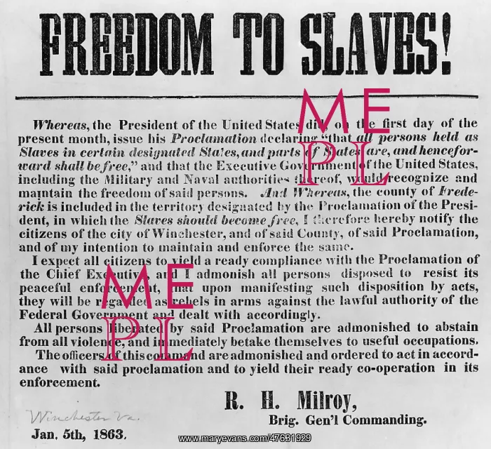 : Freedom to Slaves : Freedom to Slaves
