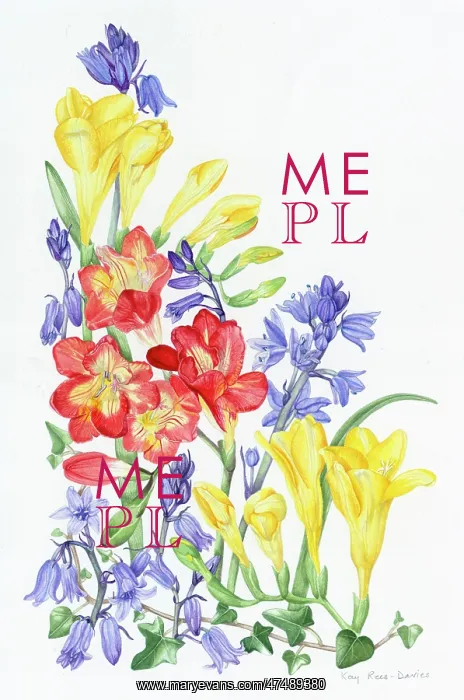  : Freesias and Bluebells ' with ivy