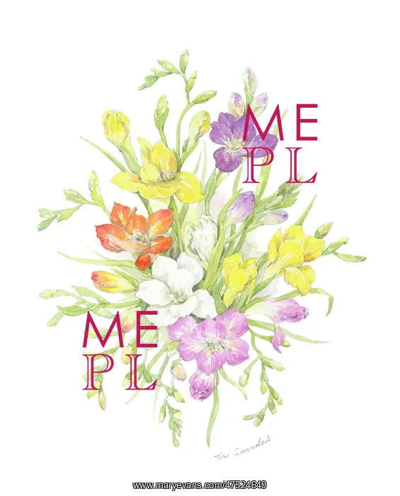  : Freesias - yellow, white, red, and mauve flowers