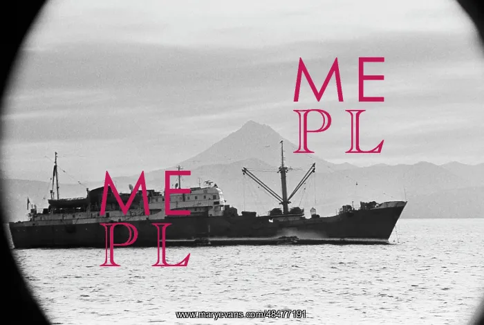 : Freezer trawler : Freezer trawler