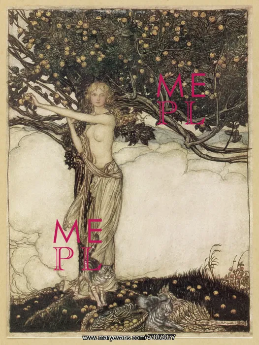 : Freia by Arthur Rackham : Freia by Arthur Rackham