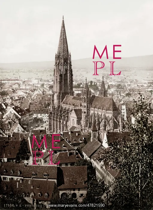  : Freiburg Cathedral, Germany