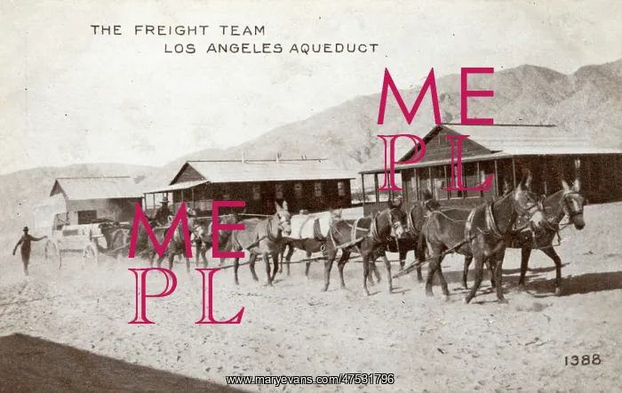 : The freight team, Los Angeles Aqueduct : The freight team, Los Angeles Aqueduct