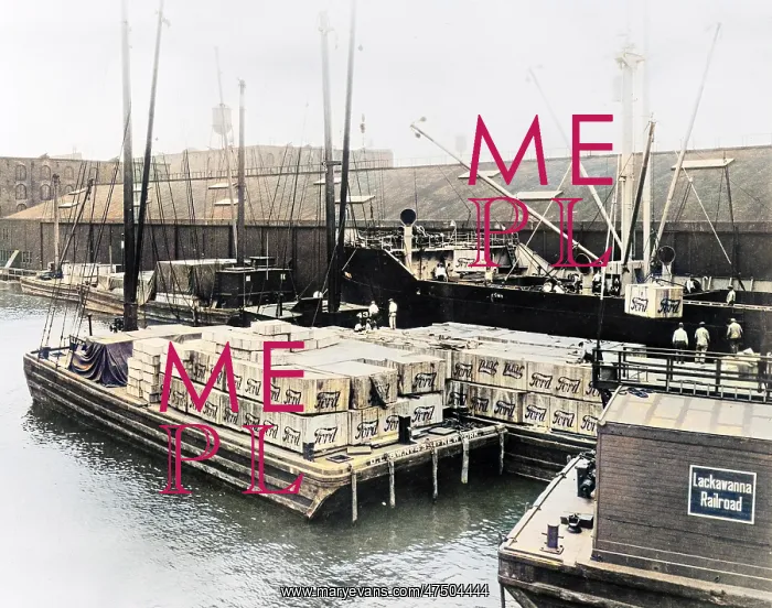 : A freighter ship loading Ford Motor Cars as cargo at the doc : A freighter ship loading Ford Motor Cars as cargo at the doc