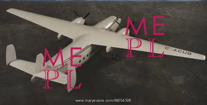 : Freighter version of the Airspeed Ambassador : Freighter version of the Airspeed Ambassador