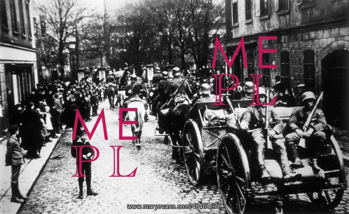 : FREIKORP UNITS / 1920 : FREIKORP UNITS / 1920