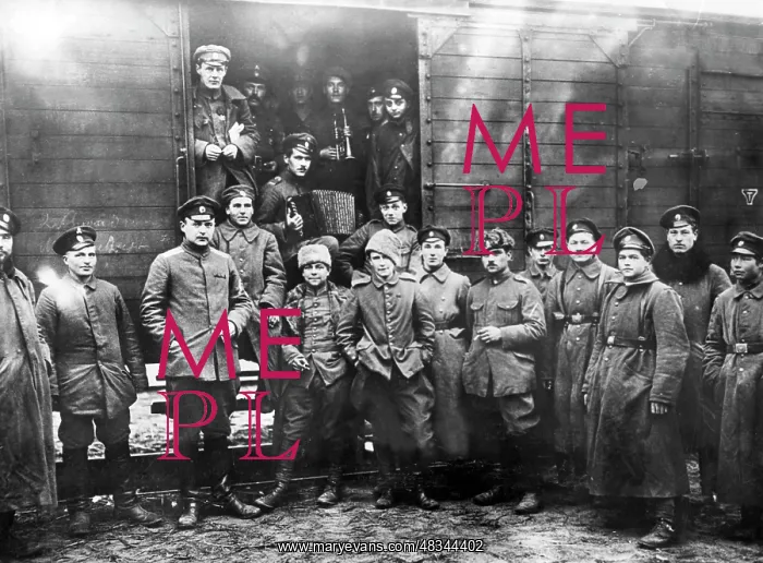 : Freikorps Iron Division in the Baltics, 1919 : Freikorps Iron Division in the Baltics, 1919