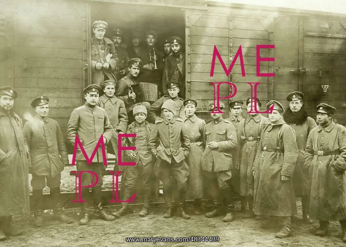  : Freikorps Iron Division in the Baltics, 1919