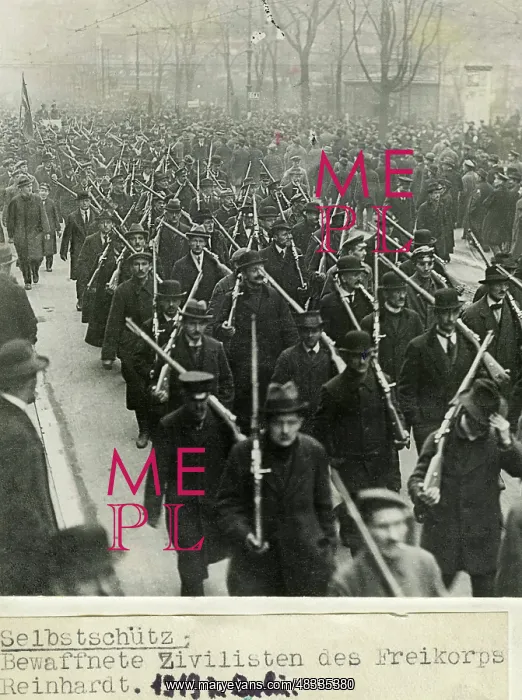 : Freikorps Reinhard, 1919 : Freikorps Reinhard, 1919